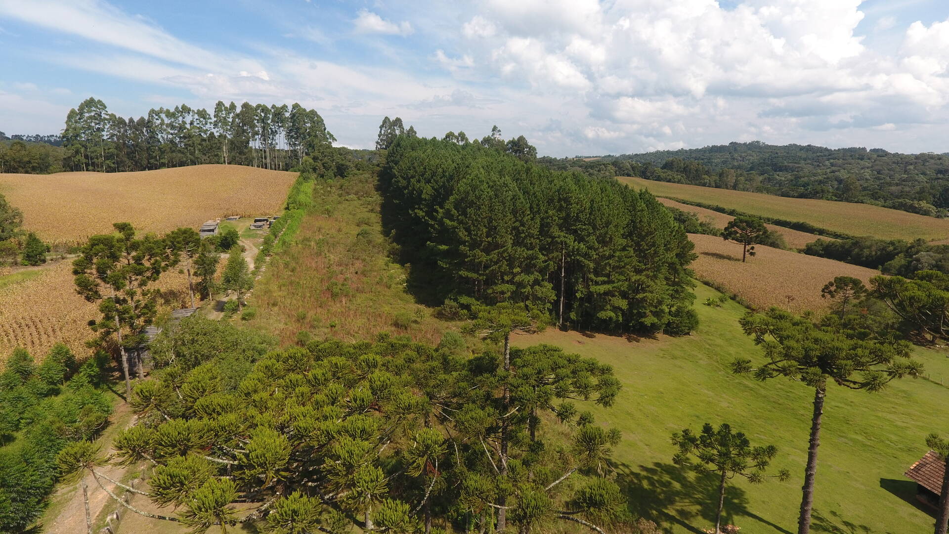 Terreno à venda, 29980m² - Foto 7