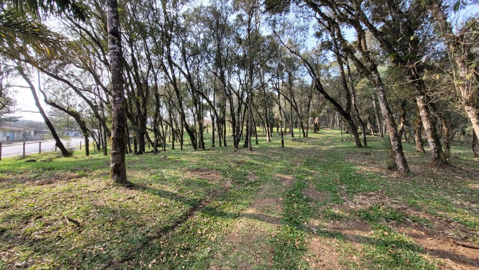 Terreno à venda, 3000m² - Foto 1