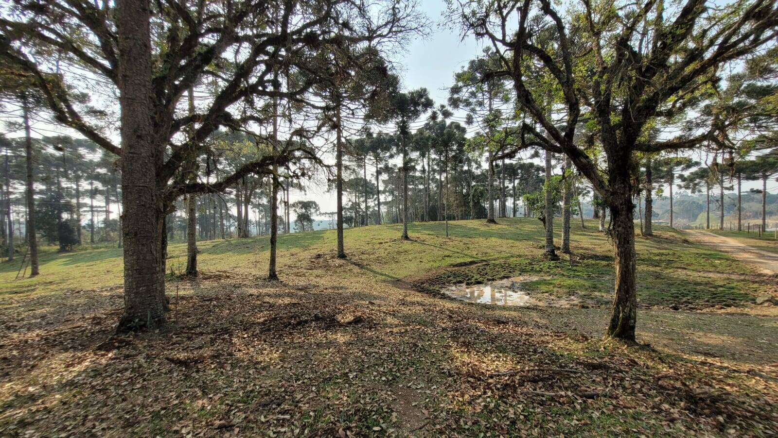 Terreno à venda, 20000m² - Foto 3