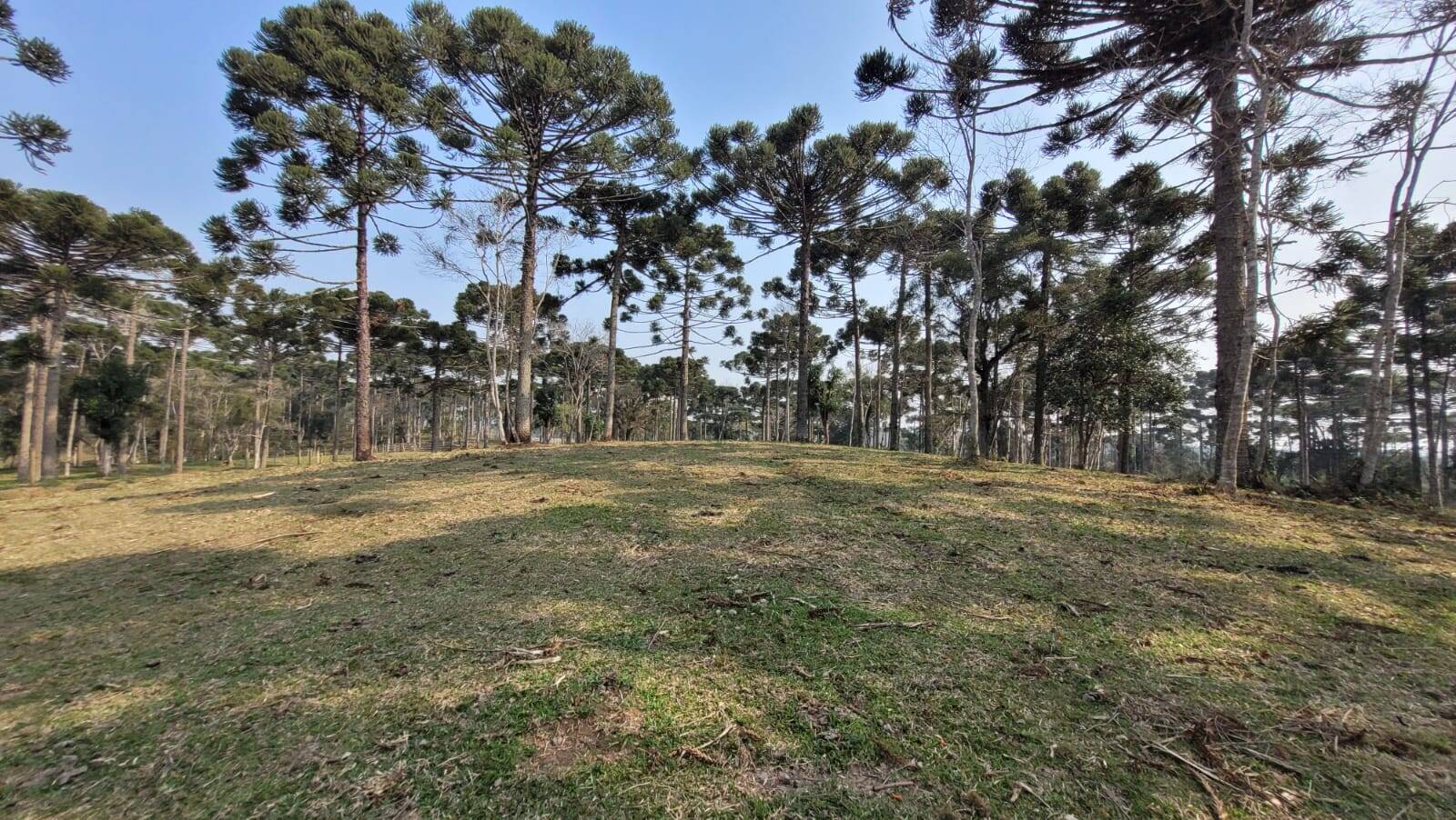 Terreno à venda, 20000m² - Foto 19