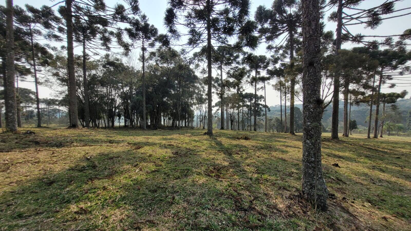 Terreno à venda, 20000m² - Foto 18