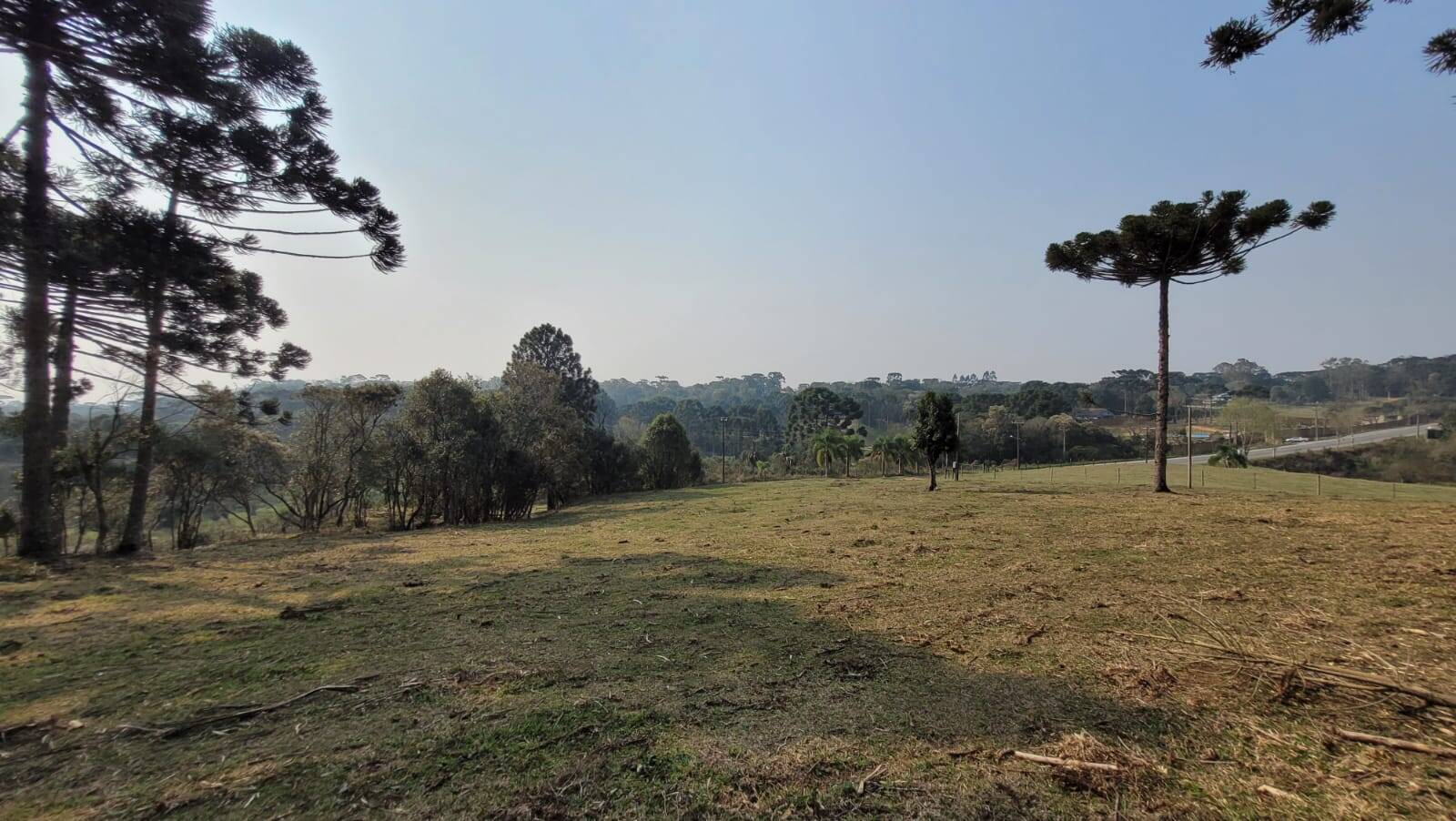 Terreno à venda, 20000m² - Foto 1