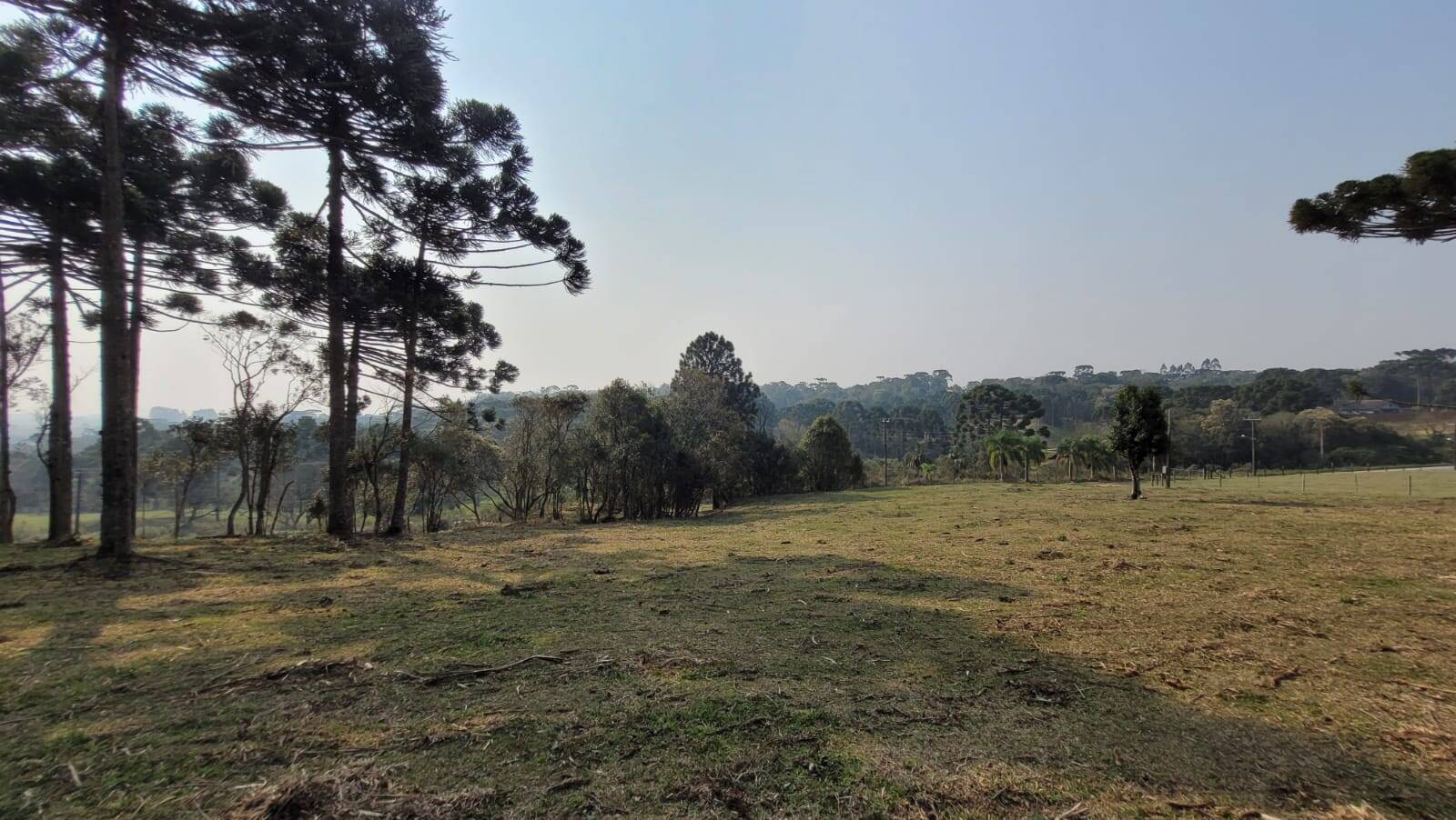 Terreno à venda, 20000m² - Foto 17