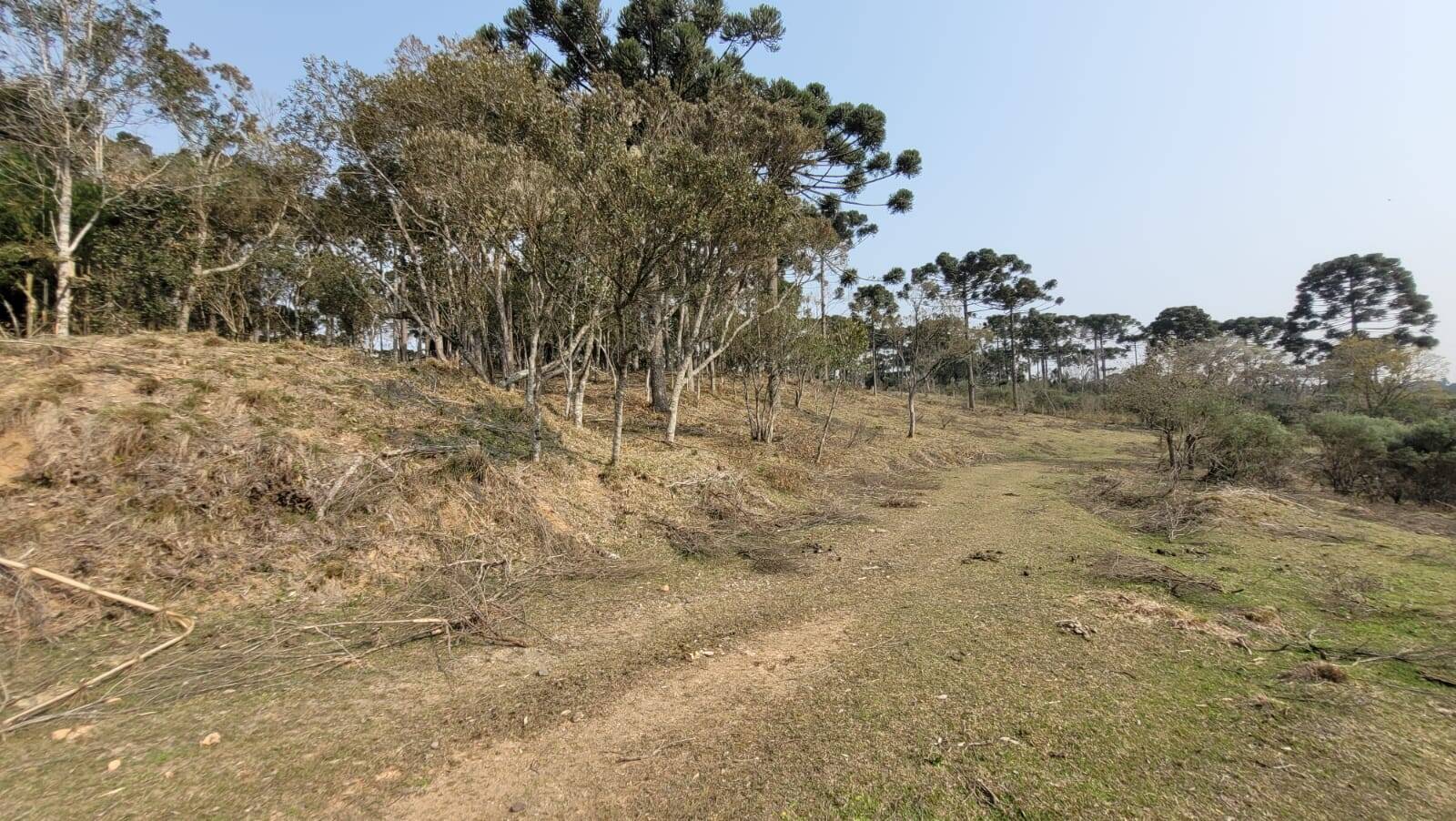 Terreno à venda, 20000m² - Foto 14