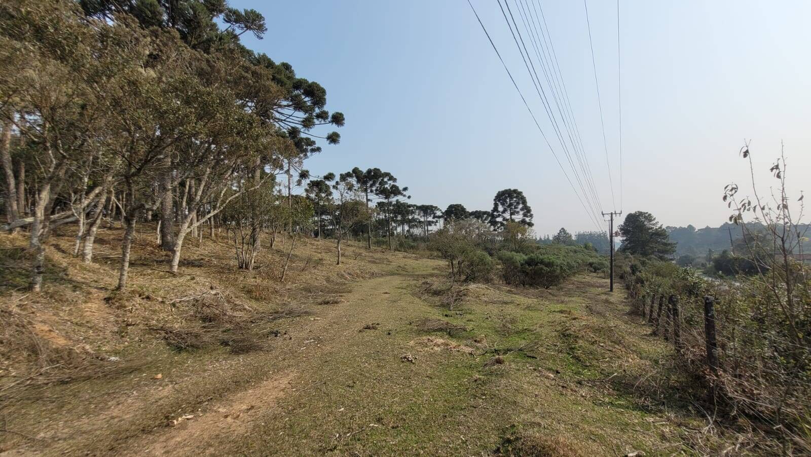 Terreno à venda, 20000m² - Foto 15