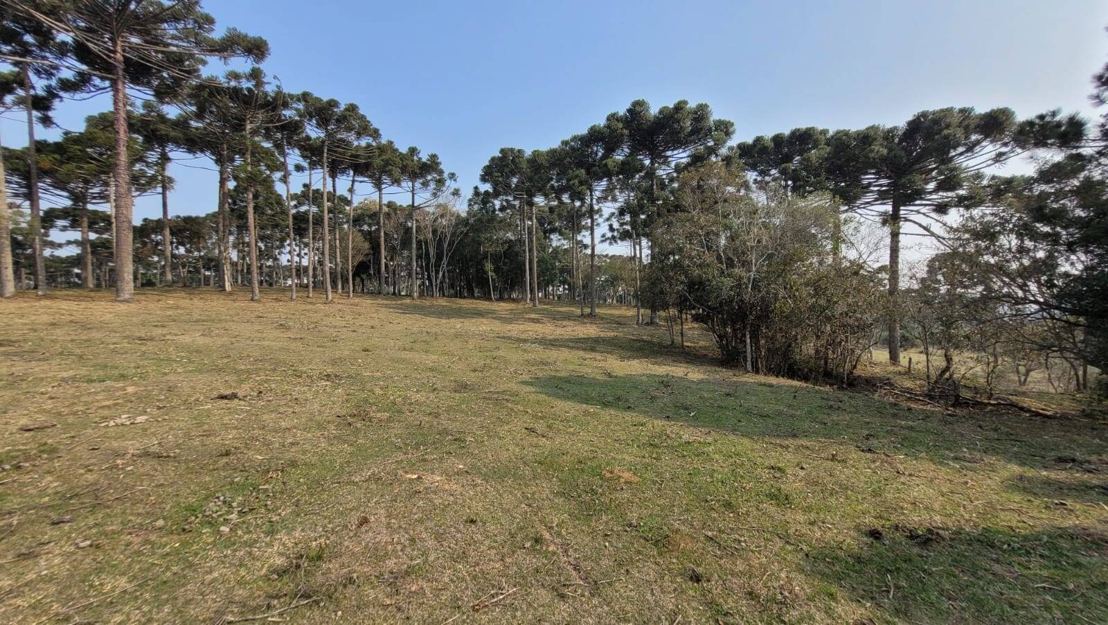 Terreno à venda, 20000m² - Foto 16