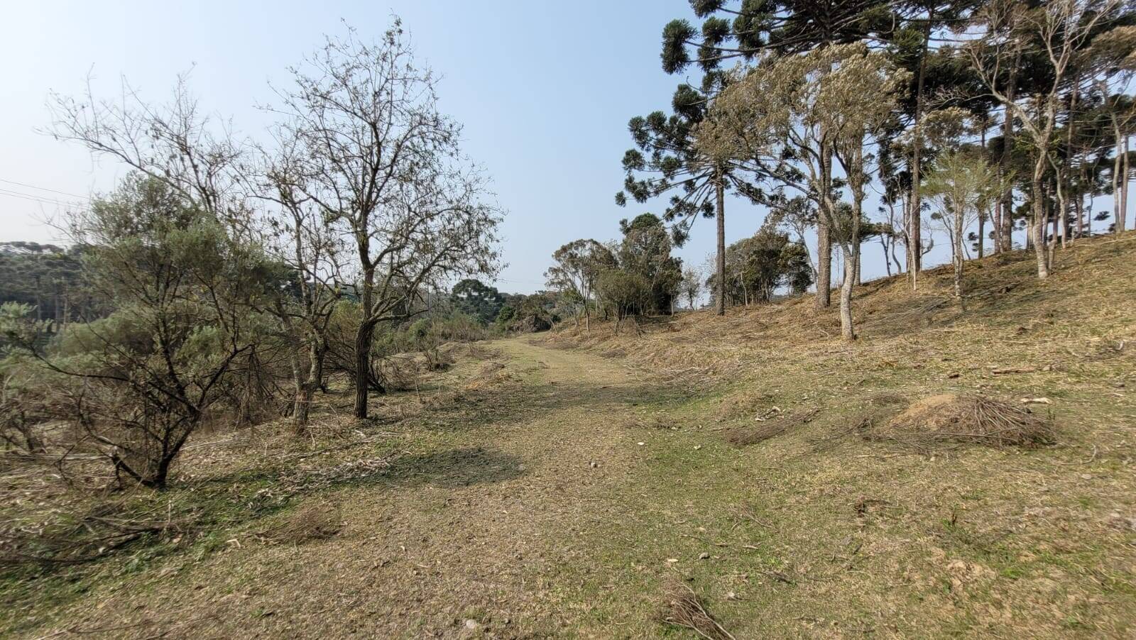 Terreno à venda, 20000m² - Foto 13