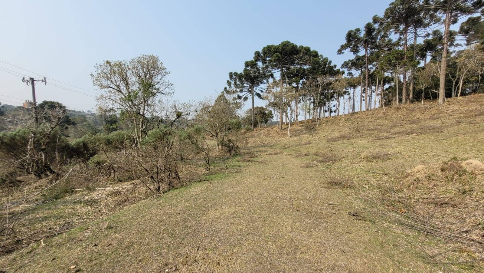 Terreno à venda, 20000m² - Foto 12