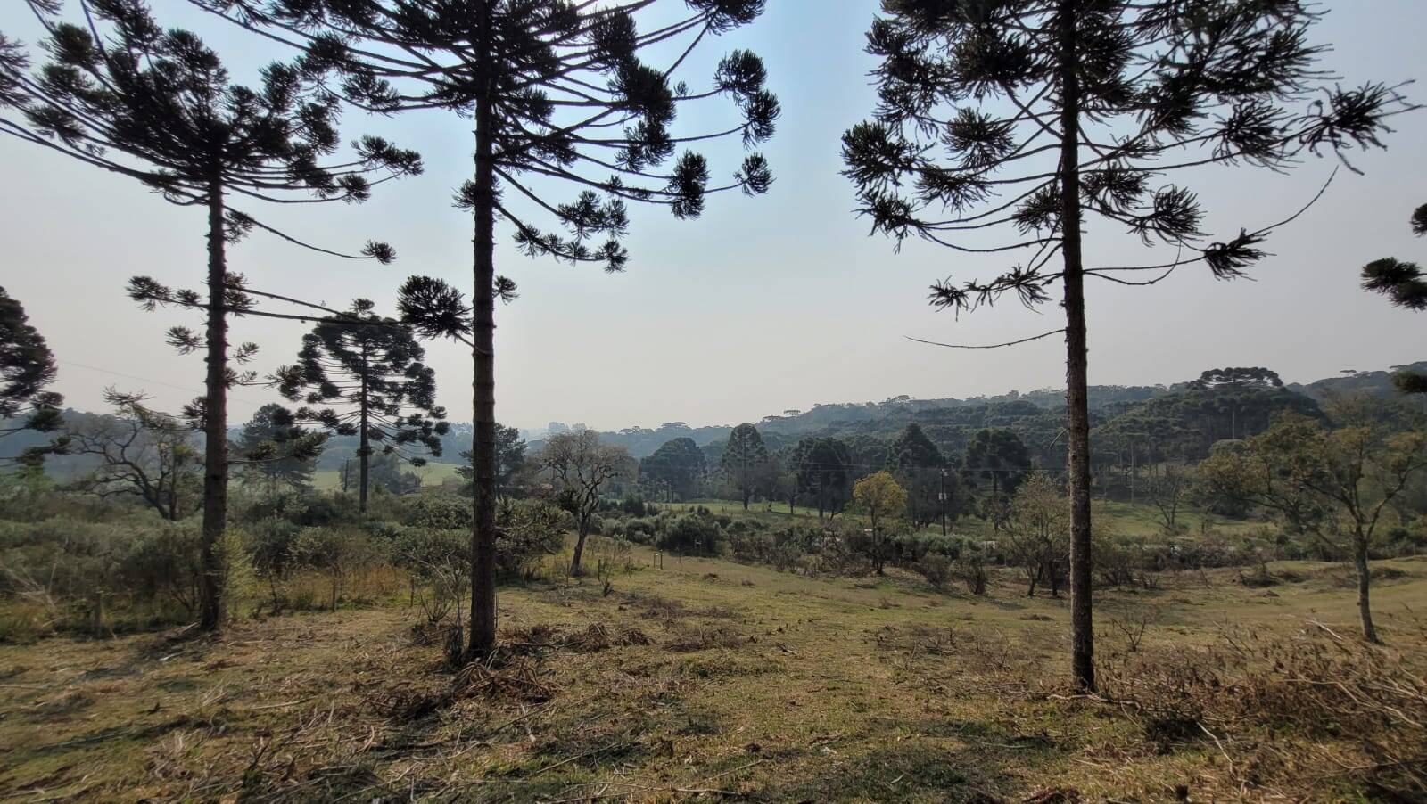 Terreno à venda, 20000m² - Foto 10