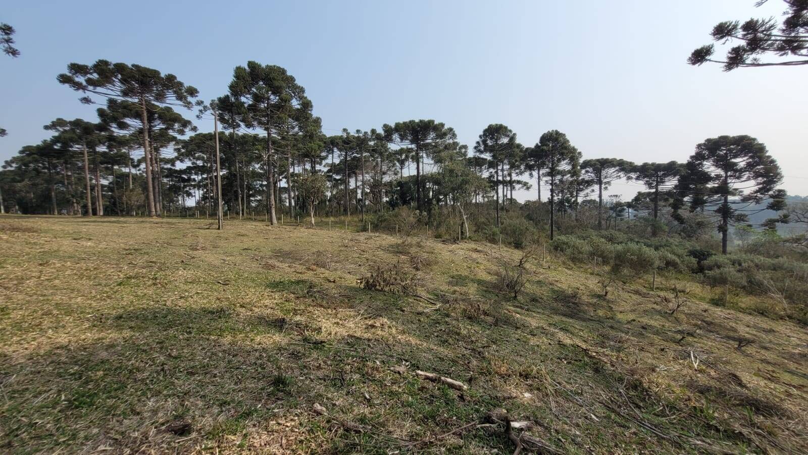 Terreno à venda, 20000m² - Foto 8