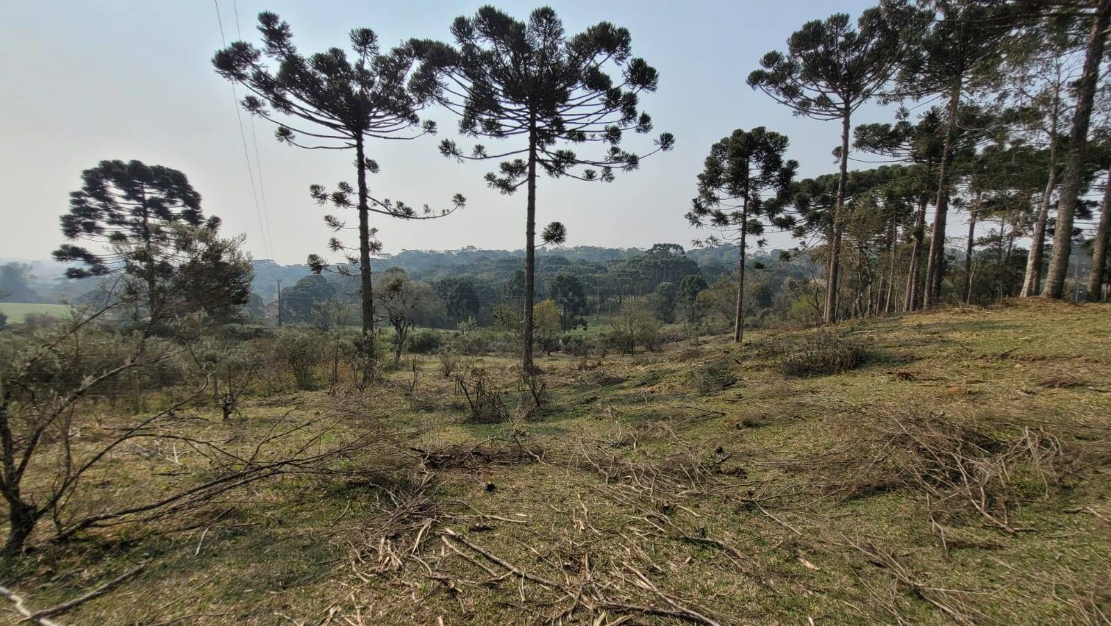 Terreno à venda, 20000m² - Foto 9