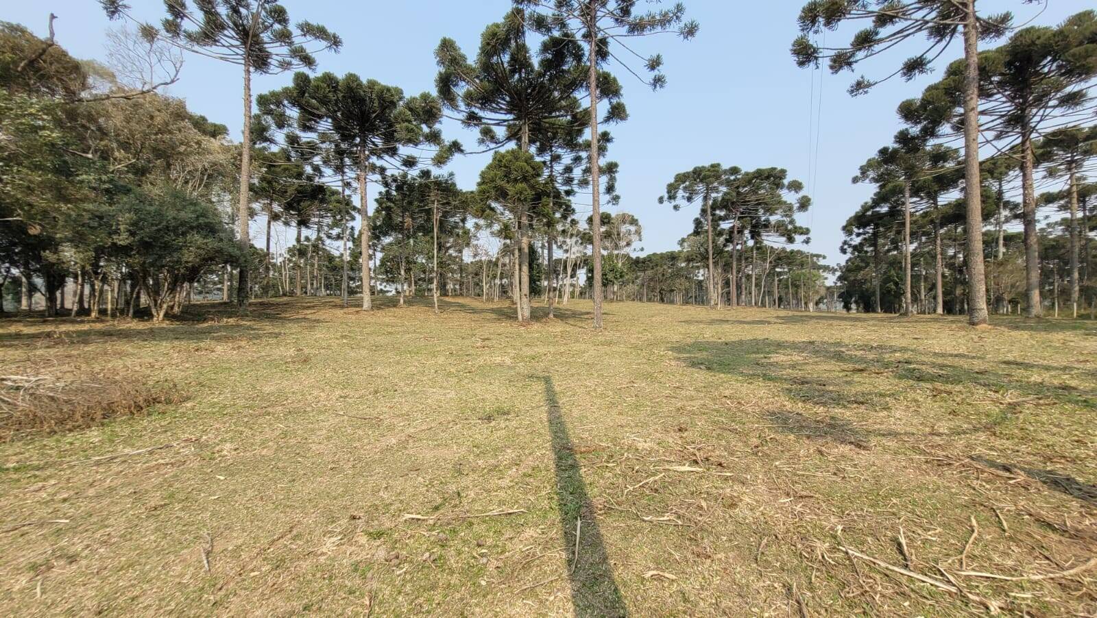 Terreno à venda, 20000m² - Foto 11