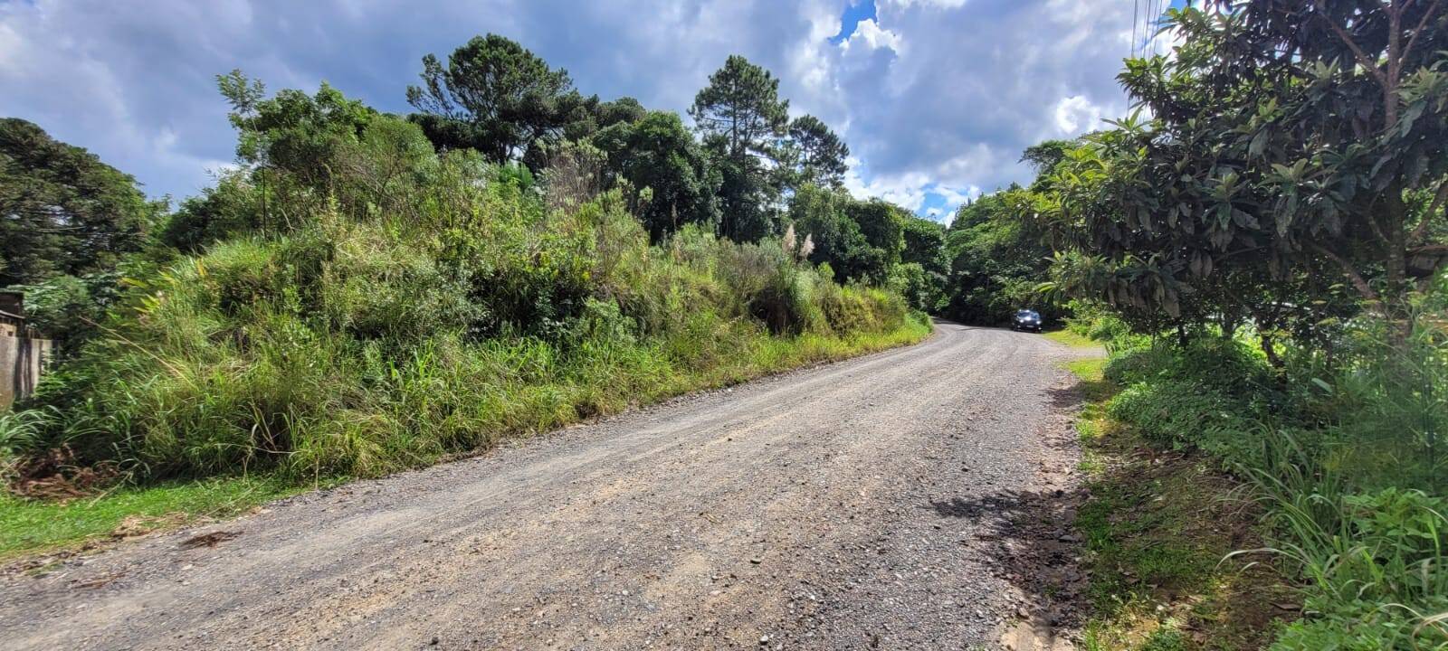 Terreno à venda, 20510m² - Foto 5