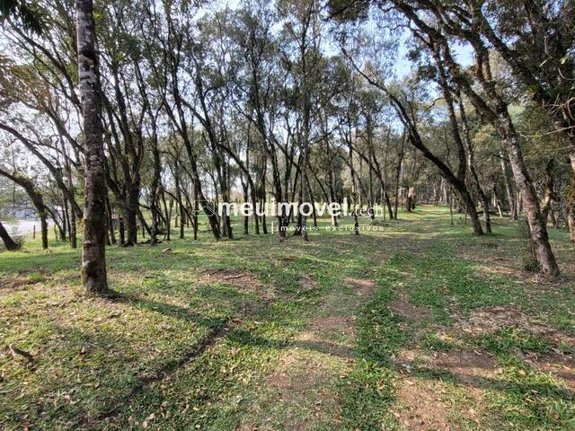 Venda em Centenário - São Bento do Sul